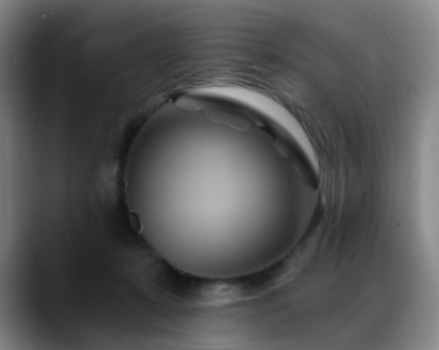 X0000088860319200706151740
