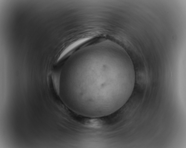 X0000088860324200706151740