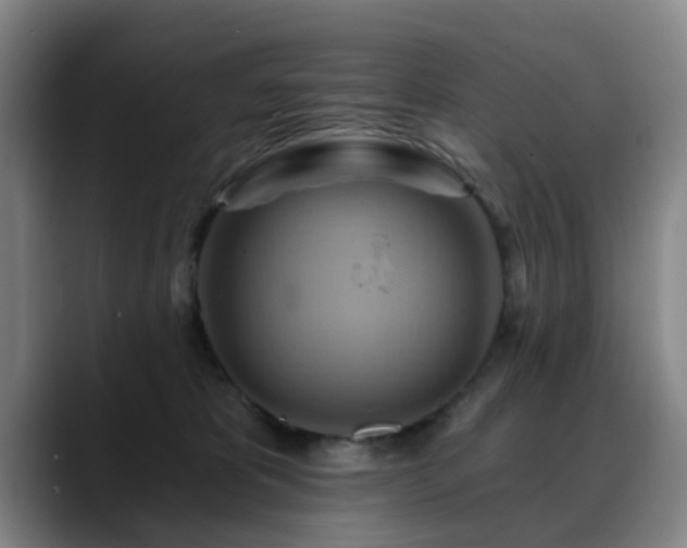 X0000088860325200706151740