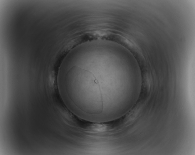 X0000088860328200706151740