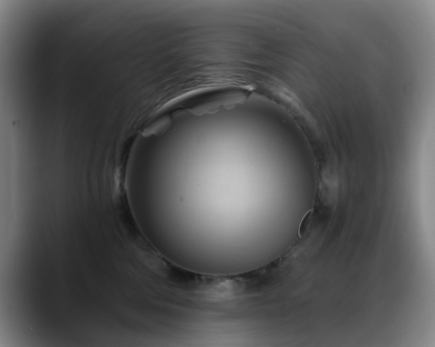 X0000088860330200706151740