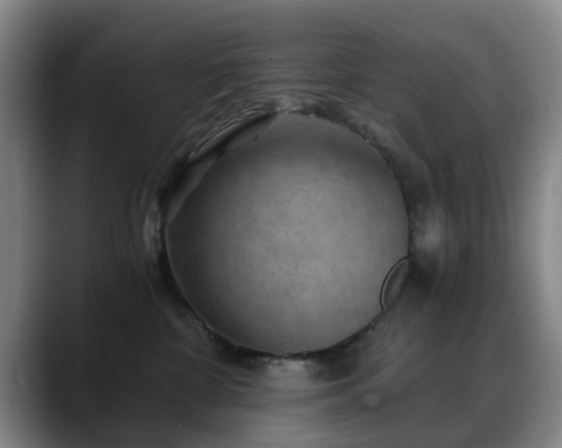 X0000088860332200706151740