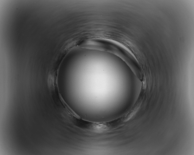 X0000088860333200706151740