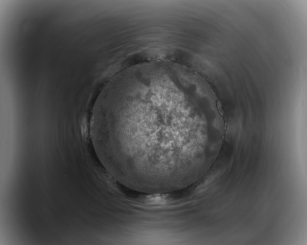 X0000088860335200706151740