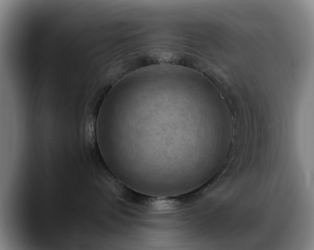 X0000088860336200706151740