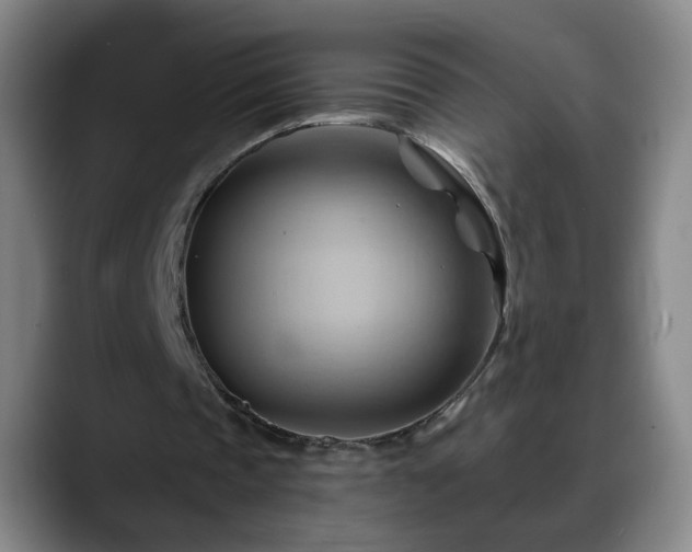 X0000088860337200706151739