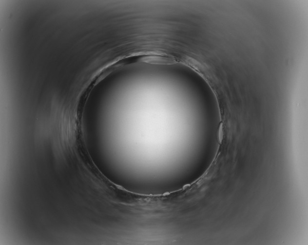 X0000088860338200706151739