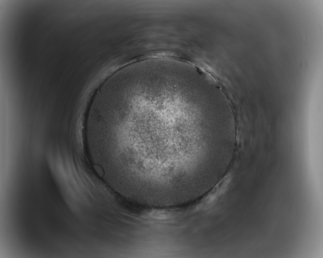 X0000088860341200706151739
