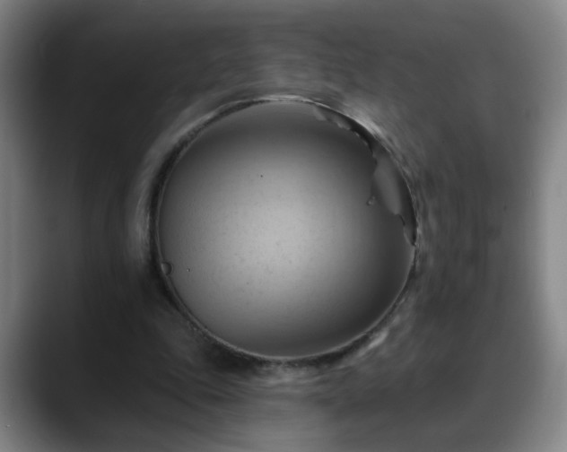 X0000088860343200706151739