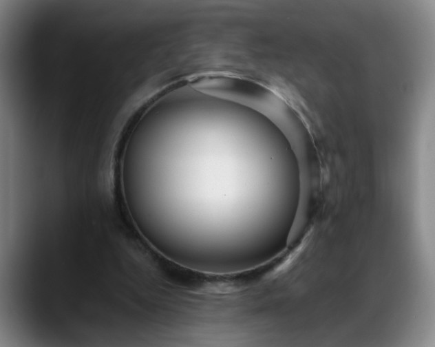 X0000088860344200706151739