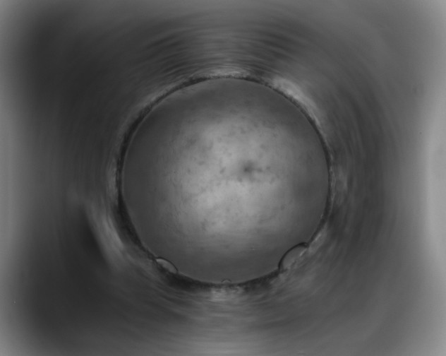 X0000088860345200706151739