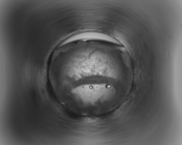 X0000088860346200706151739