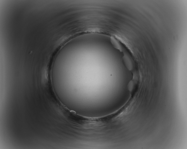 X0000088860347200706151739