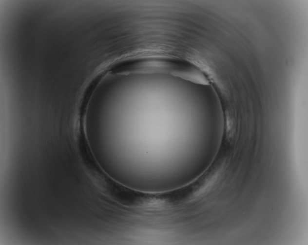 X0000088860348200706151739
