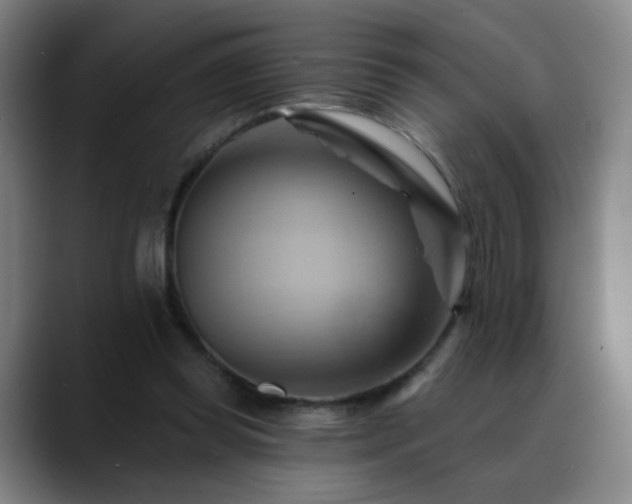 X0000088860349200706151739