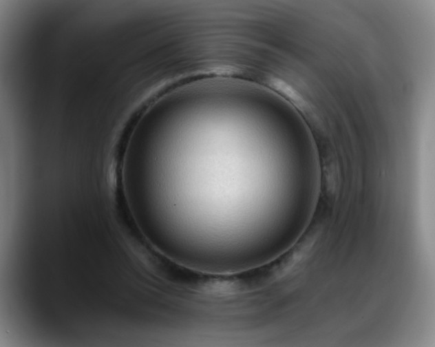 X0000088860350200706151740