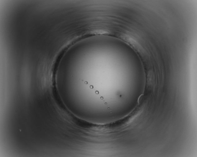 X0000088860351200706151740