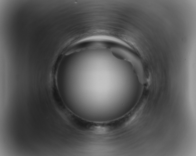 X0000088860352200706151740