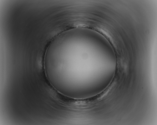 X0000088860353200706151740