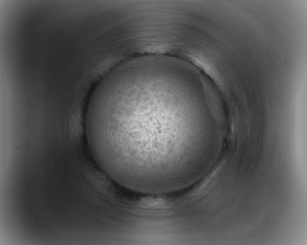 X0000088860354200706151740