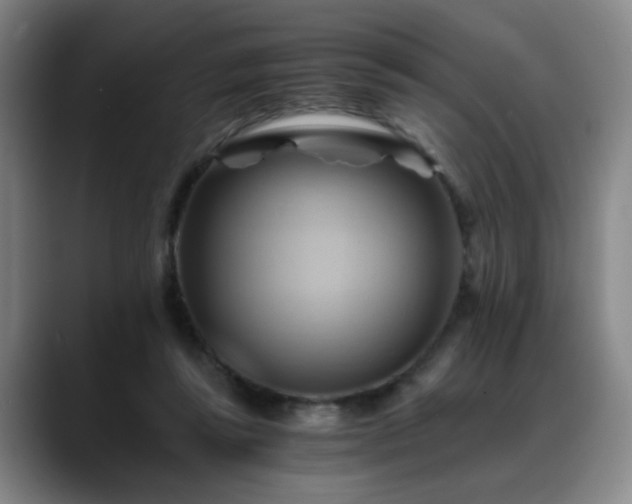 X0000088860355200706151740