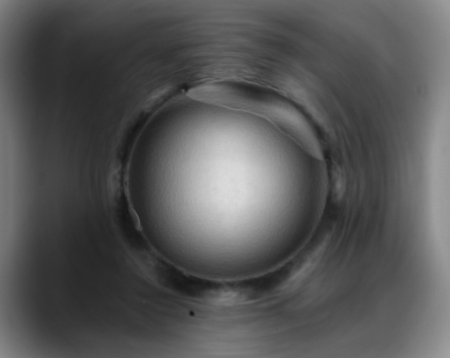X0000088860356200706151740