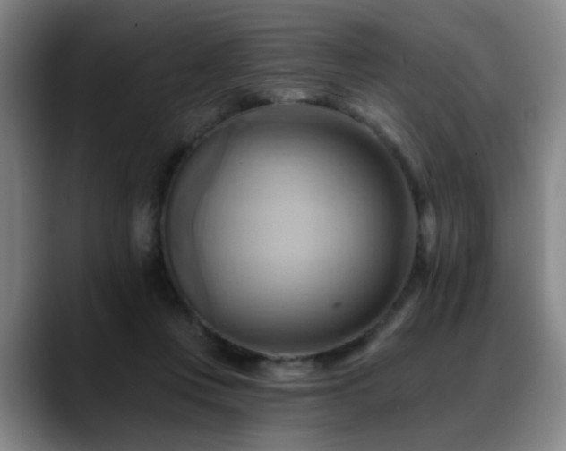 X0000088860359200706151740