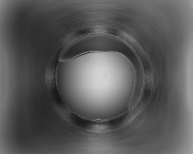X0000088860360200706151740