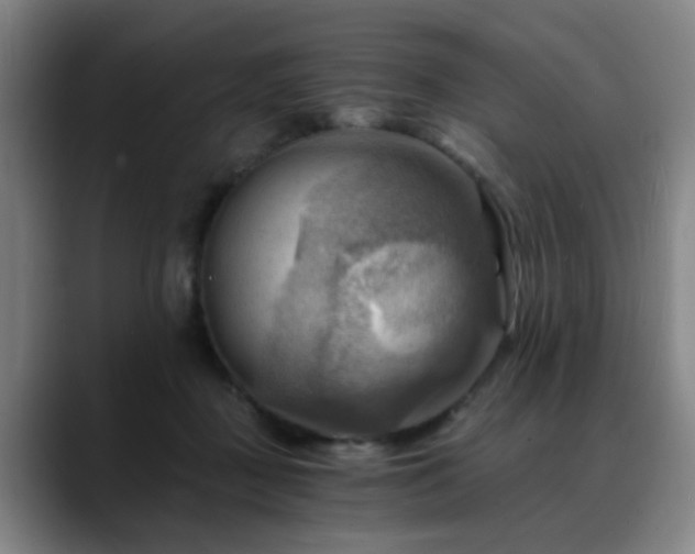 X0000088860363200706151740