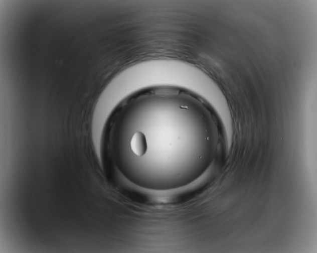X0000088860364200706151740
