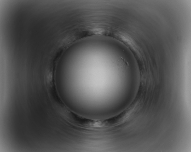 X0000088860365200706151740