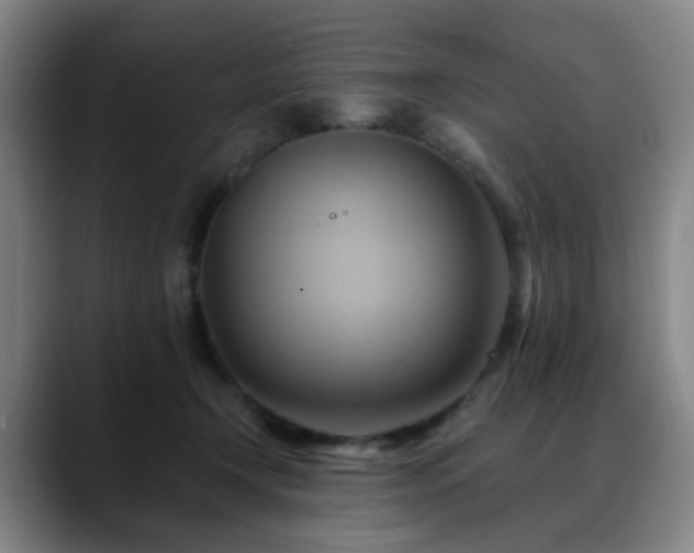 X0000088860366200706151740