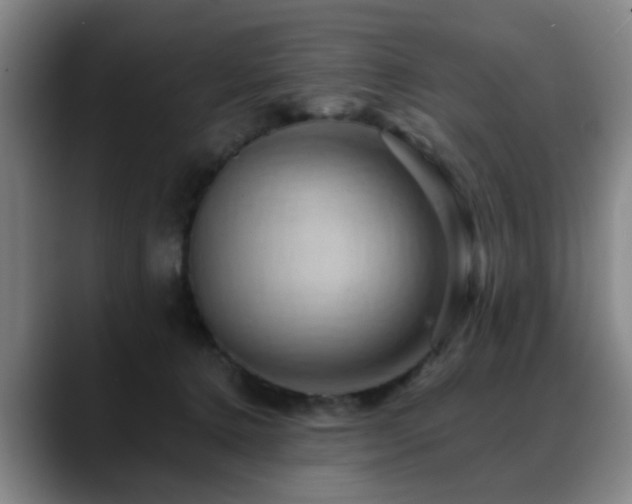 X0000088860368200706151740