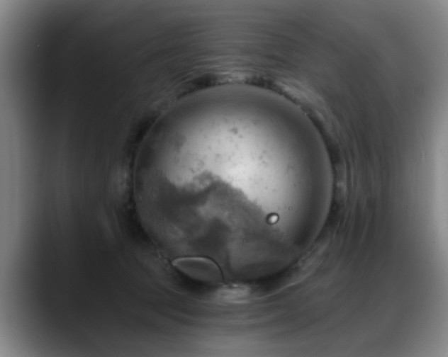 X0000088860369200706151740