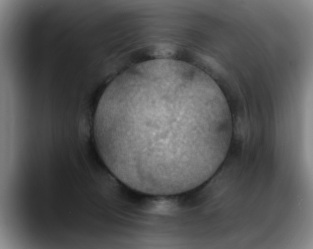 X0000088860370200706151740
