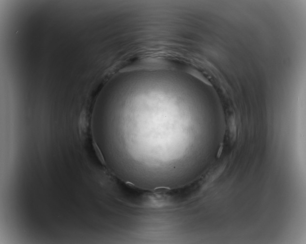 X0000088860372200706151740