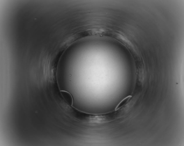 X0000088860378200706151740