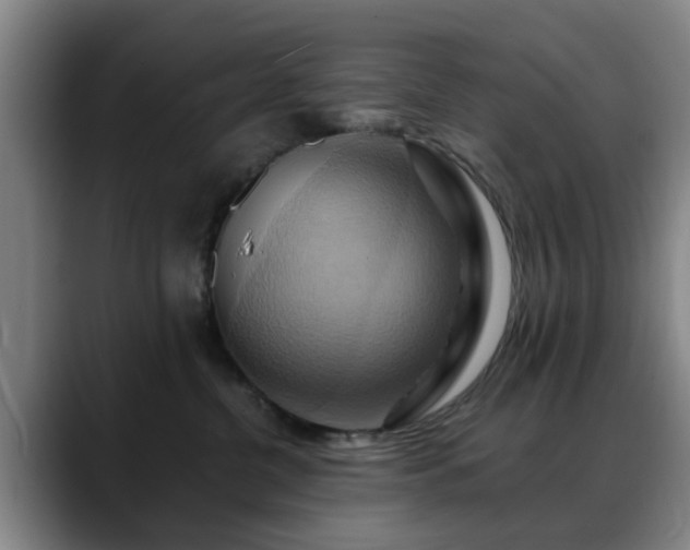 X0000088860380200706151740