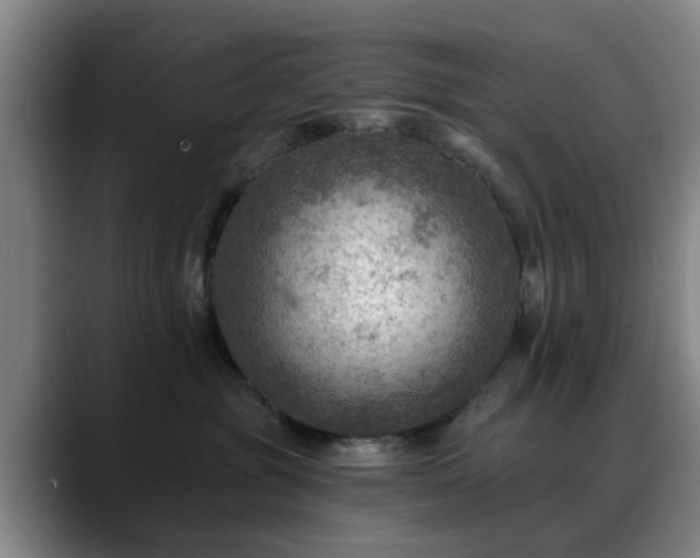 X0000088860381200706151740