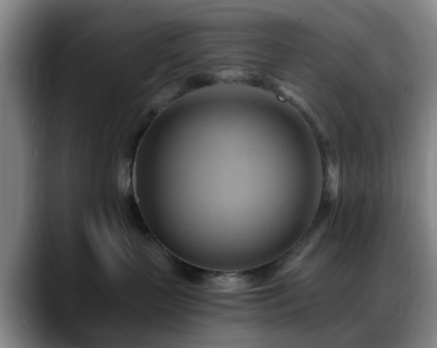 X0000088860383200706151740