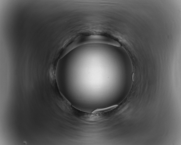 X0000088860384200706151740