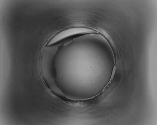 X0000088860385200706151739