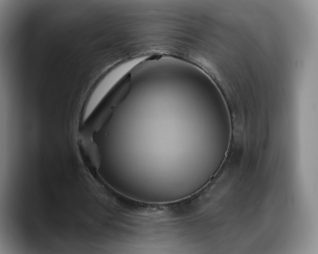 X0000088860386200706151739