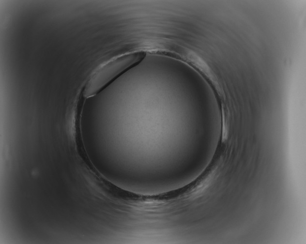 X0000088860387200706151739
