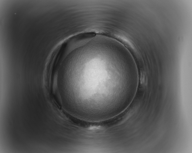 X0000088860388200706151739