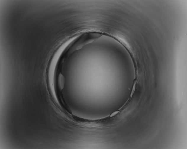 X0000088860389200706151739
