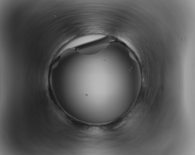 X0000088860390200706151739