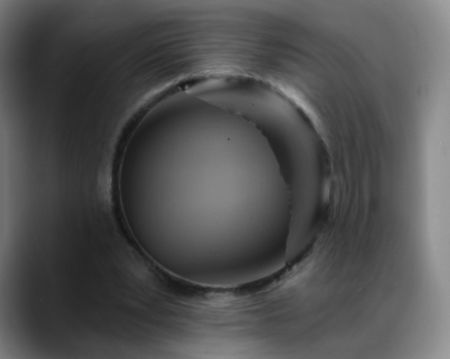 X0000088860391200706151739