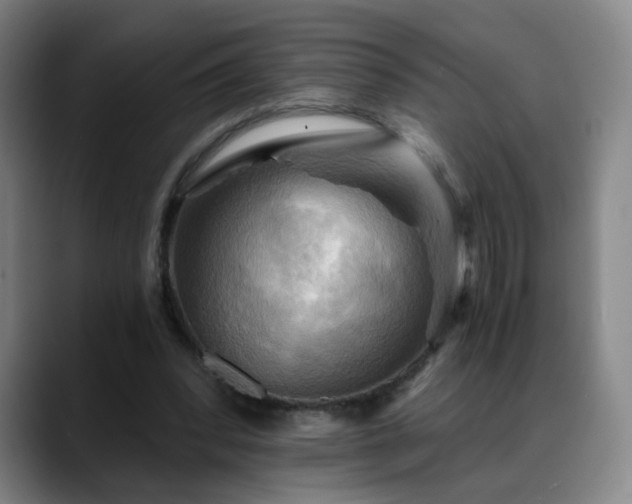 X0000088860392200706151739
