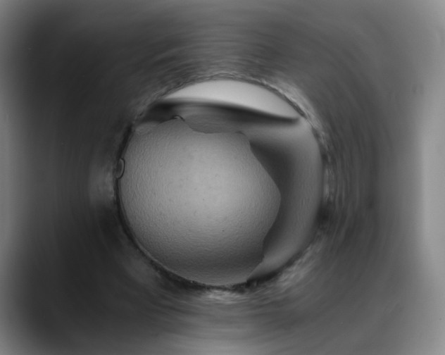 X0000088860393200706151739